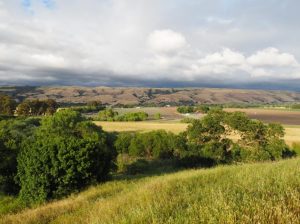 view from hill in Coyote Valley overlooking proposed AES battery site
