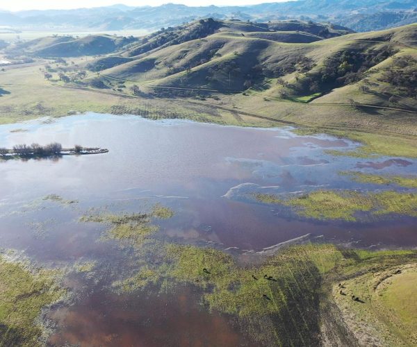 Laguna Seca - D.Neumann - 2021-01-31 -4